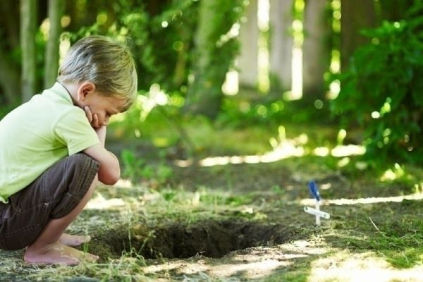 Reményvirág - Gyermekek gyászfeldolgozását segítő csoportvezető képzés
