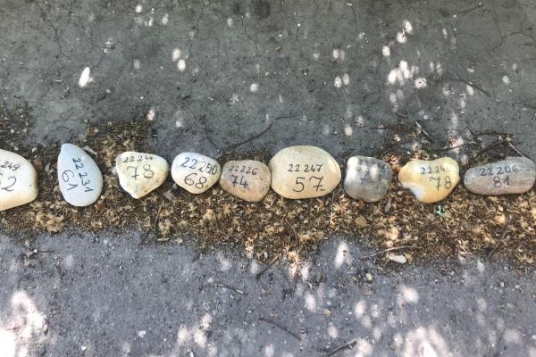 Minden nap veszteségeket mérlegelünk